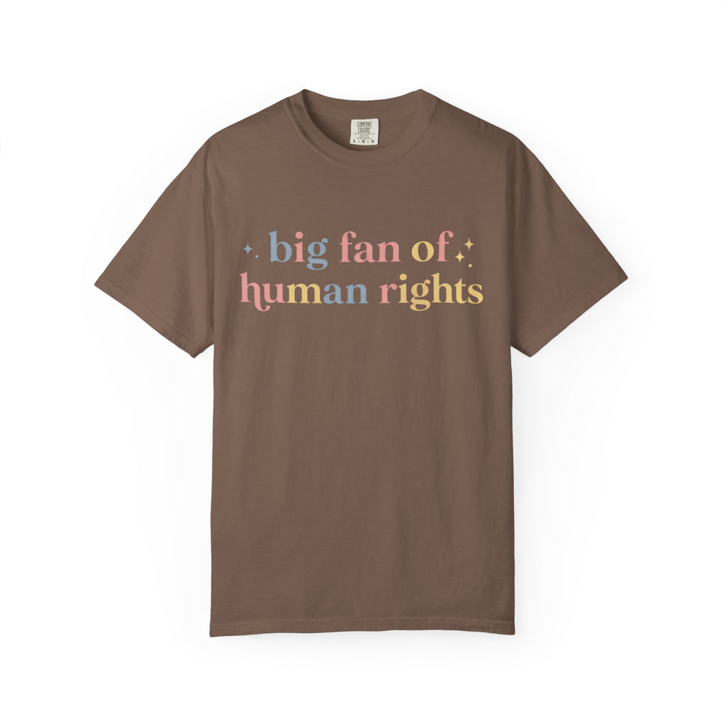 Big Fan of Human Rights T-Shirt