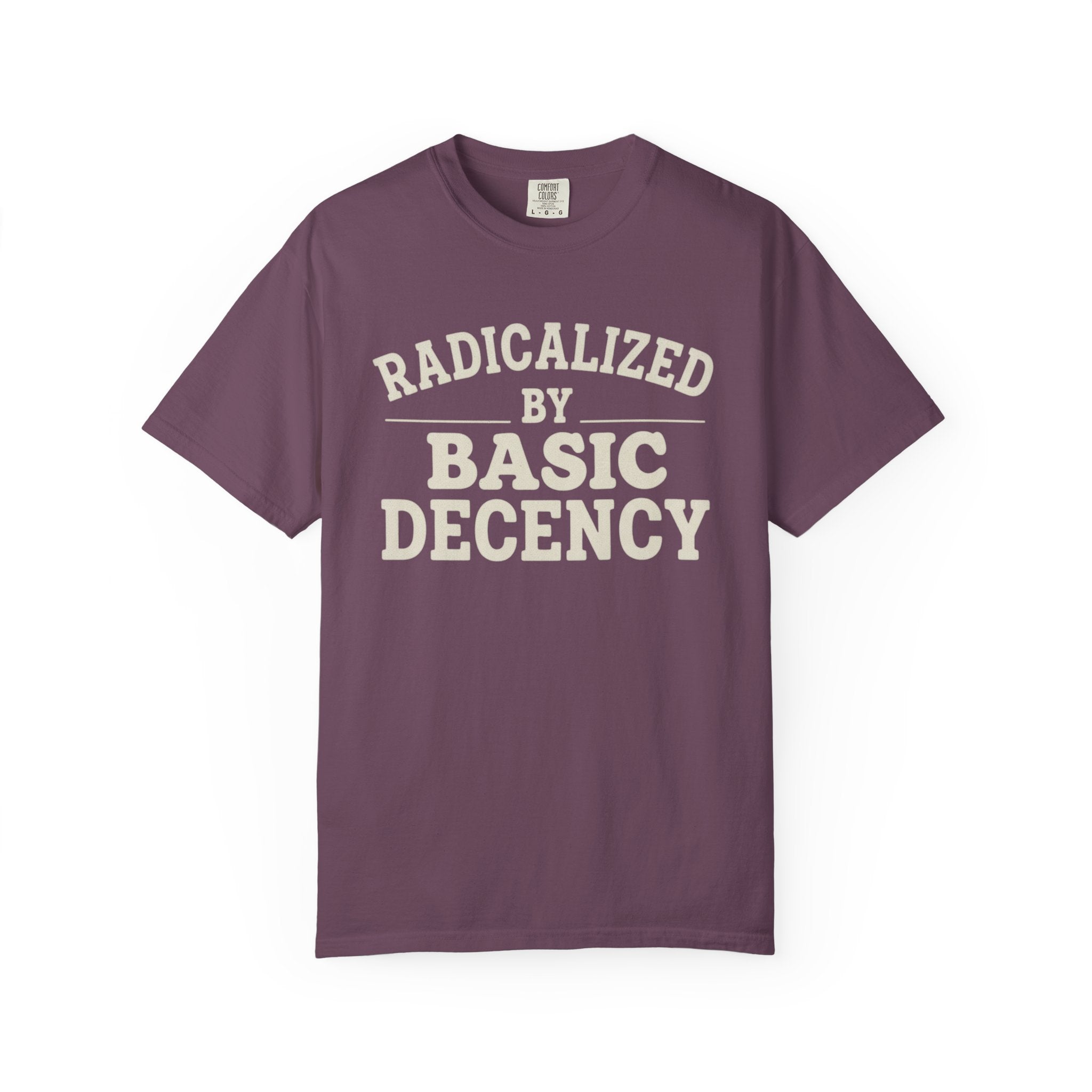 Radicalized by Basic Decency T-Shirt